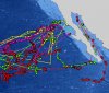 GWs shark tracking.jpg