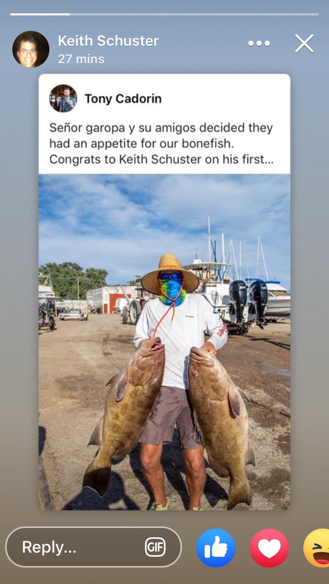 29FBE02B-D931-4BB1-B5B7-C76F9E22CA0E.jpeg