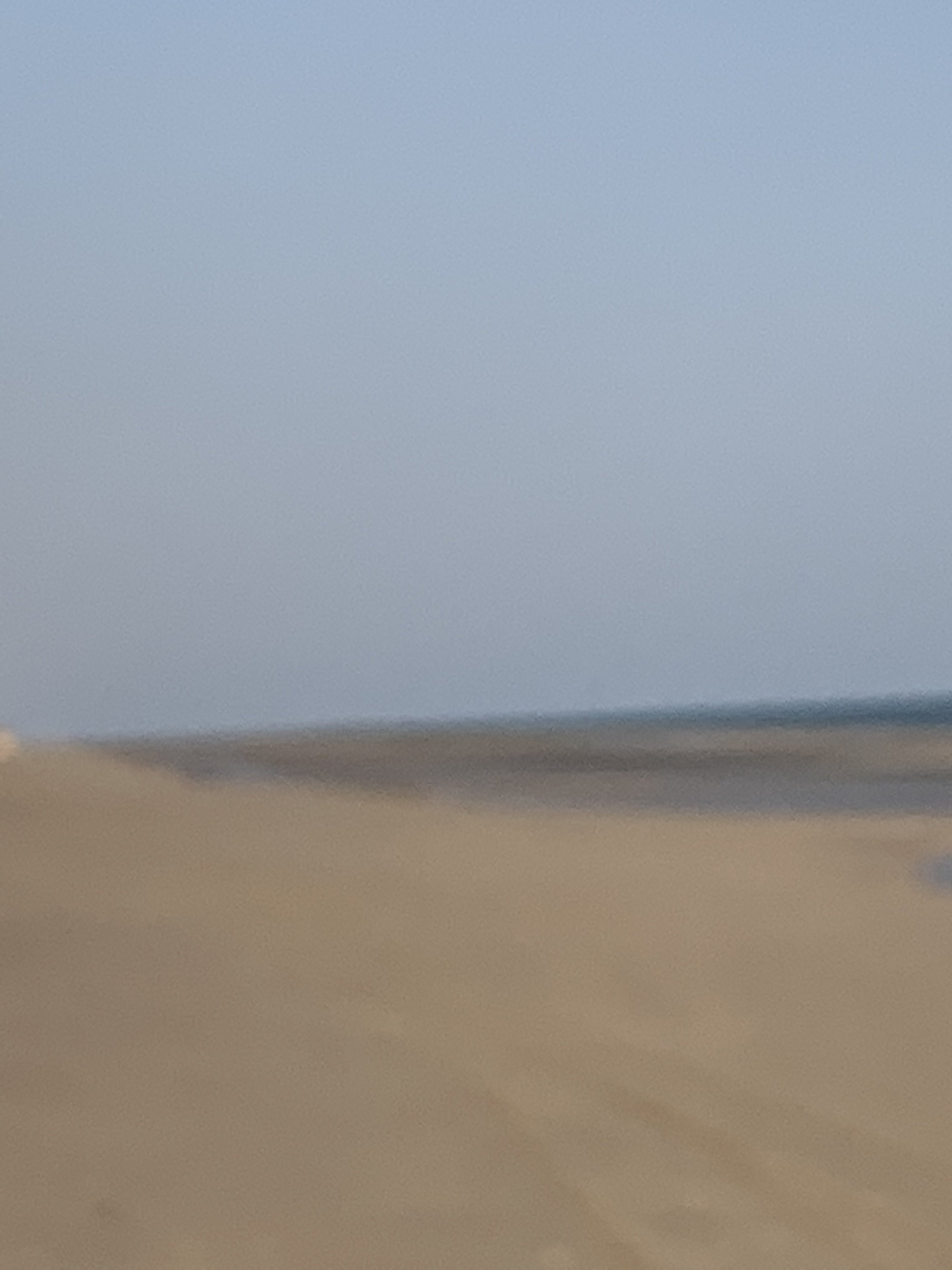 84216161-6ED5-4BCF-A516-84B9A19AB15B.jpeg