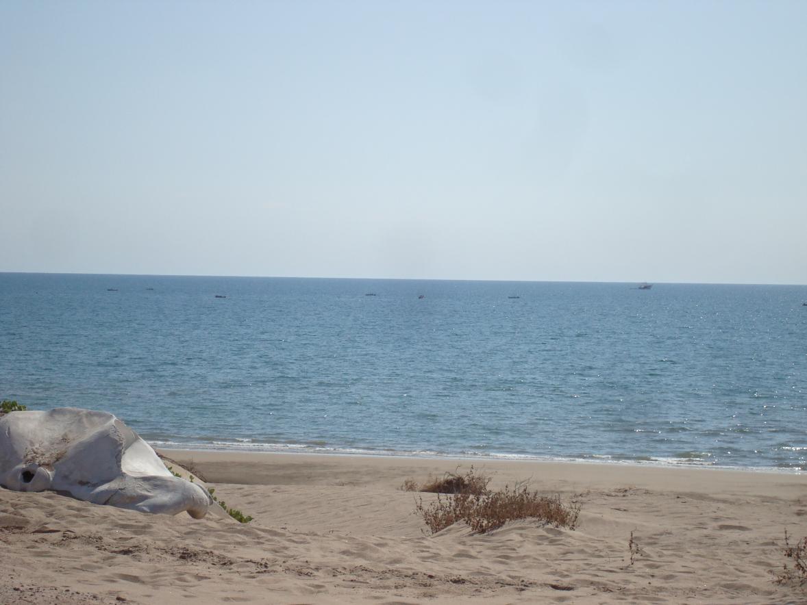 DSC04233.jpg