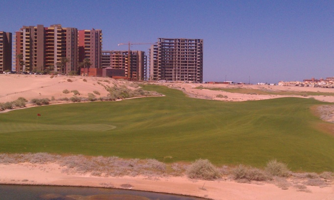 IMAG0367.jpg