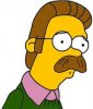 ned-flanders-pho&#1.jpg