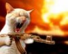 catmachinegun..jpg