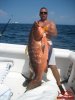 P V pargo.jpg