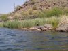 AZ Apr 2011 053.jpg