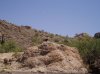 AZ Apr 2011 056.jpg