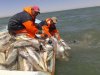 Pescadores.jpg