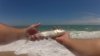 bonefish pic 113.jpg