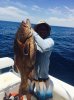 Gulf grouper-1.jpg